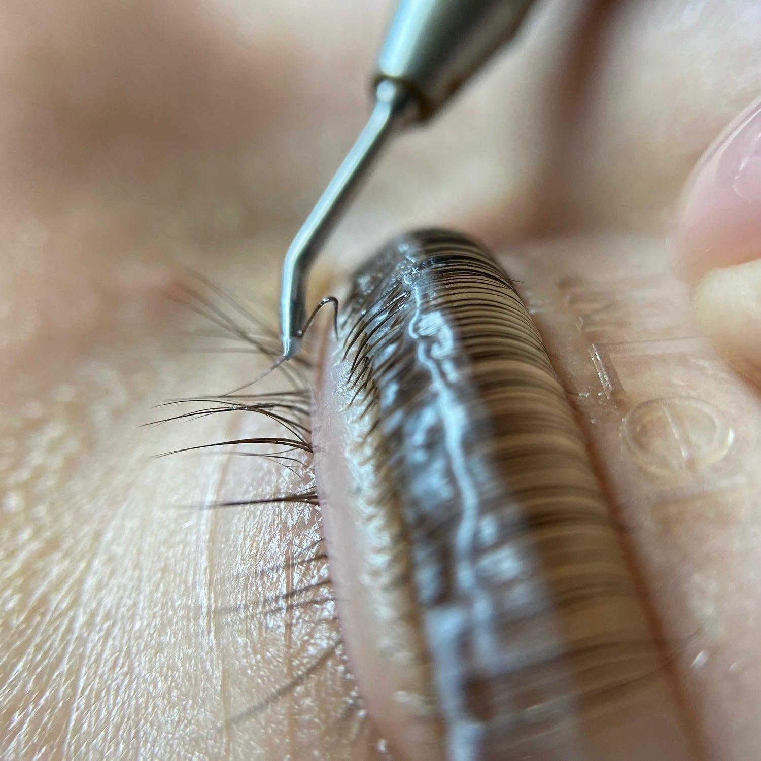 aplicación de loción de cisteamina en lifting de pestañas sobre el ojo de una modelo