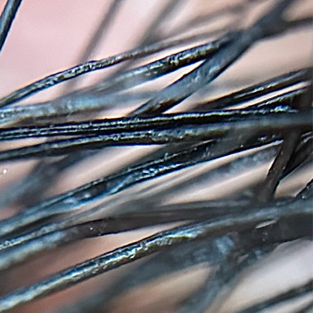 pestañas dañadas al microscopio después de lifting sin cuidado posterior