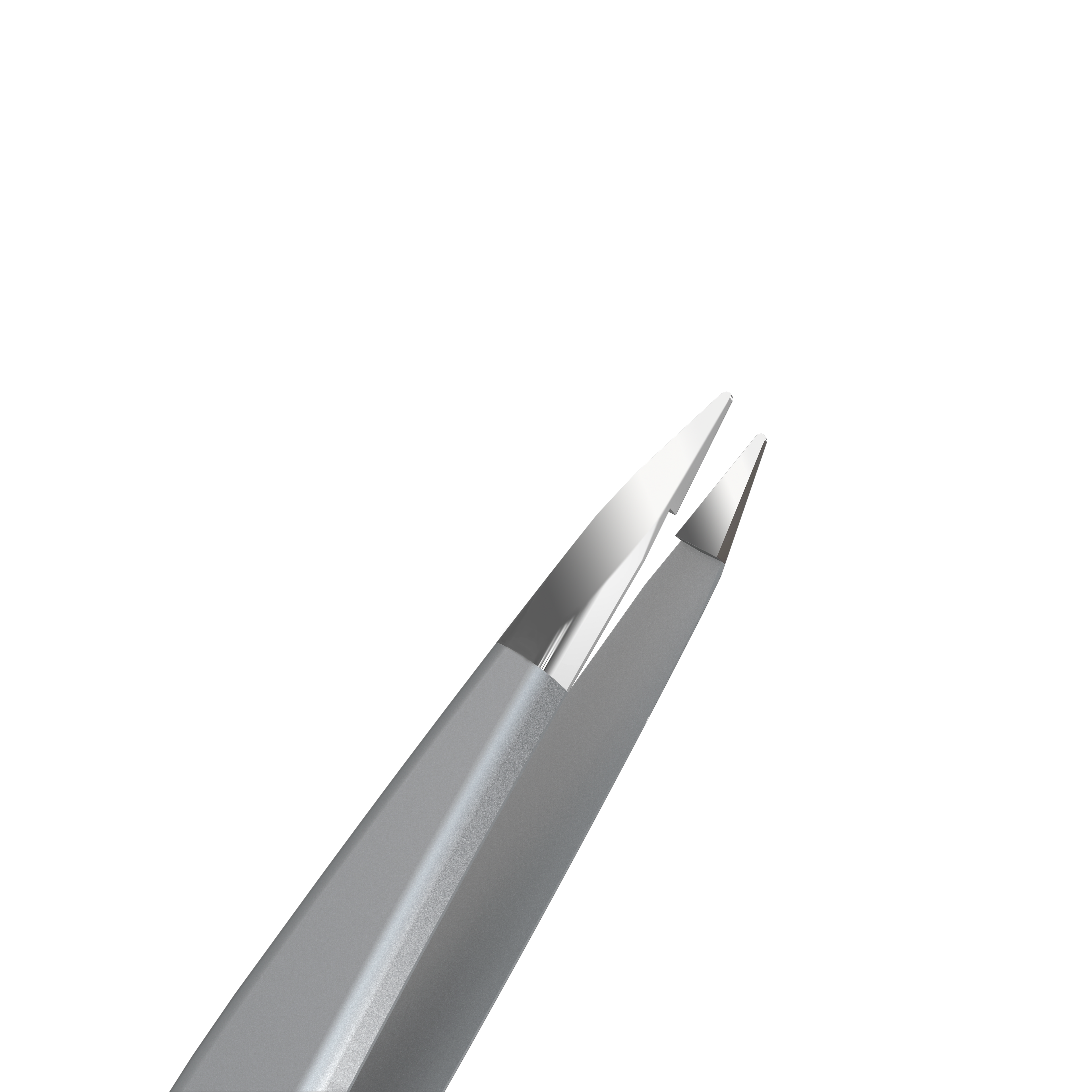 Pinza de cejas STALEKS EXPERT TE-10-5 punta fina acero inoxidable